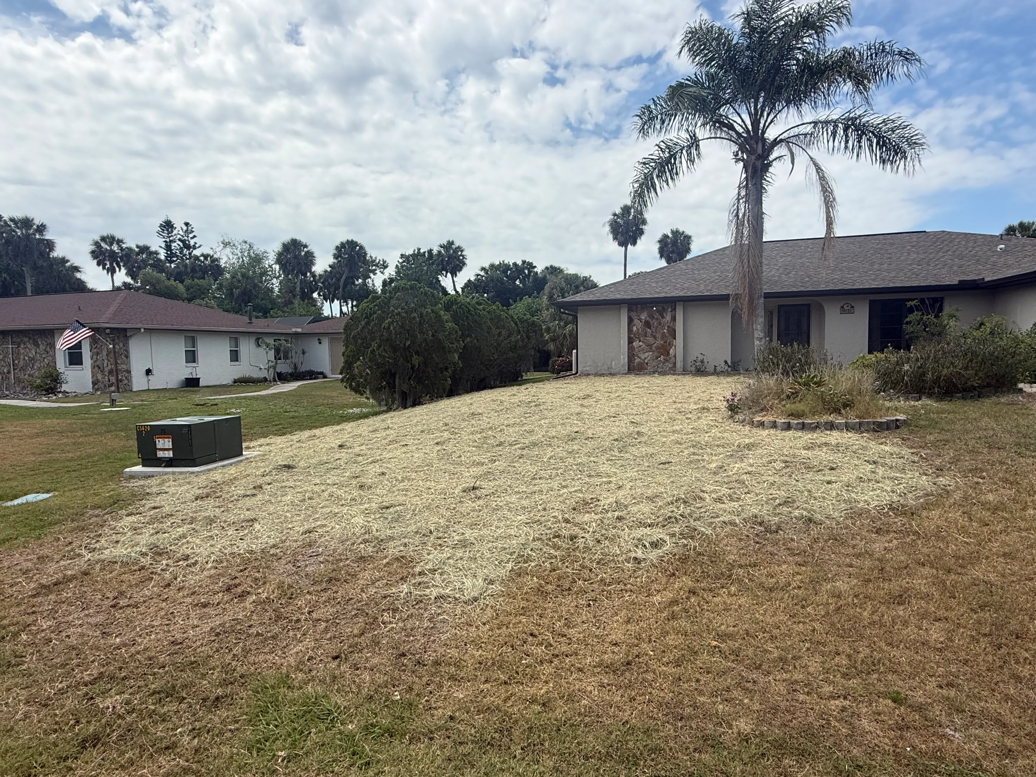 Newly installed septic tank and drain field in residential yard with palm trees